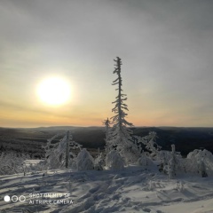 Салам Саламалейкум, 23.02, Москва