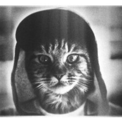 Макс Кот, 28.09, Витебск