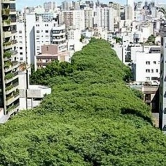 Gonçalo de Carvalho, 05.06.1951, Porto Alegre