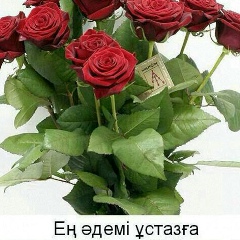 Raushan Seidymbetova, Алматы