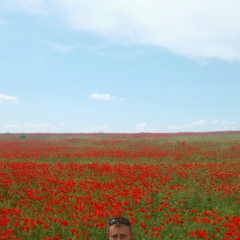Boris Milenacool