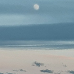 Светлана Кузнецова, 05.06