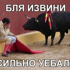 Suslik Dima, Санкт-Петербург