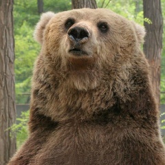 Стёпа Гусаков, 22.01.1990, Москва