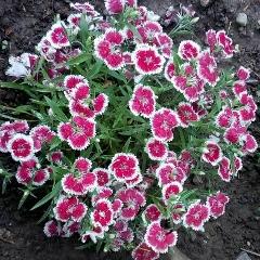 Айтгуль Аширбекова, 22.08.1987, Алматы