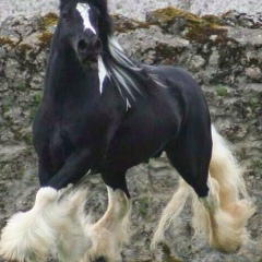 Бауыржан Тагбергенов, 17.02.1984, Атырау