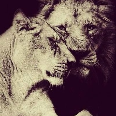 Актоты Тлеужанова, 30.07