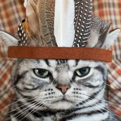 Анатолий Кияшко, 05.04.1986, Киев