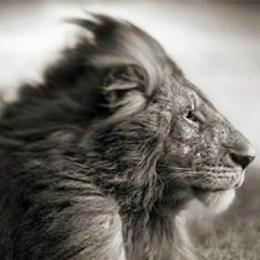 Саша Тимошенко, 26.12.1999, Москва