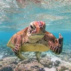 Екатерина Катериновна