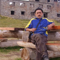 Николай Гаврюк, Санкт-Петербург