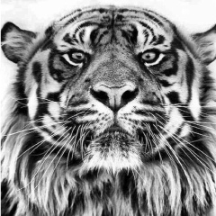 Умар Гаджимагомедов, 16.11.1989, Praha