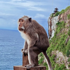 Дмитре Крупнов, 23.05.1985, Санкт-Петербург