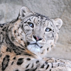 Рустем Узакбай, 19.11, Уральск