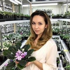 Мария Вороненкова, Кольчугино