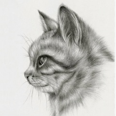 Марина Ганкевич, Санкт-Петербург