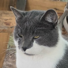 Сергей Смирнов, 25.12.1981, Санкт-Петербург