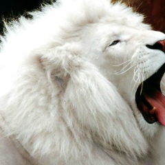 Айбек Сабитов, 05.05.1990, Актау