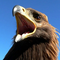 Ерлан Толыбайев, 25.03, Алматы