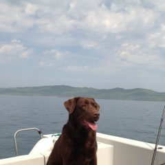 Анечка Кравцова, 03.01.1988, Владивосток