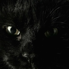 Леонид Потоцкий, 06.06, Минск