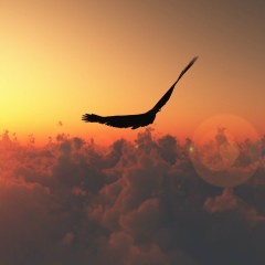 Дима Крюков, 25.03.1984, Горки