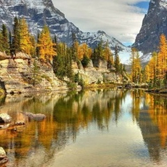 Рамзия Шахвердиева, 02.02, Санкт-Петербург