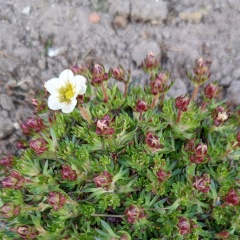 Виктория Филина, 27.05.1985, Донецк