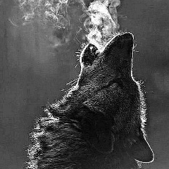 Mahmut Sankibaev, 31.05, Актобе