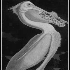 Жанат Канатов, 26.12, Алматы