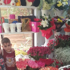 Seid Emin, 15.07.1987