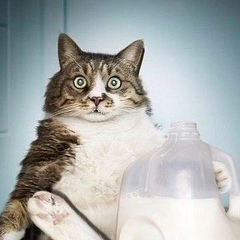 Myrat Reyimov, 23.02.1988, Ашхабад