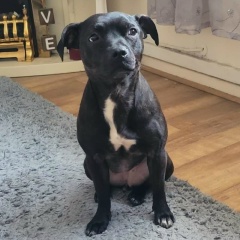 Yulechka Noskova, 19.01