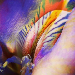 Зиночка Ларионова, 09.04.1986, Сочи