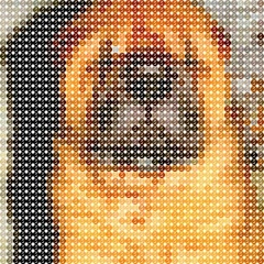 Кязим Гериев, 30.07.1989, Нальчик