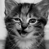 Марк Фасхи, 22.05.1998, Липецк