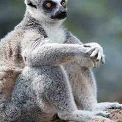 Николай Севастьянов, 25.11, Гродно