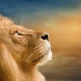 Самед Самедов, 26.05.1988, Актау