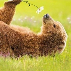 Рима Шайдуллина, 17.03, Санкт-Петербург