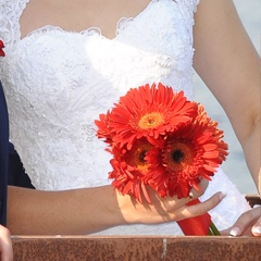 Оля Кацевич, Каменец