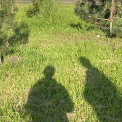 Борис Колесниченко