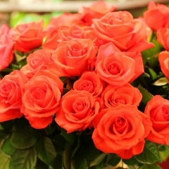 Нуржамал Отемова, 17.05, Алматы