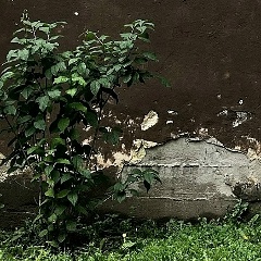 Алина Курносенкова, Смоленск