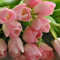 Виолетта Коваль, 08.01, Санкт-Петербург