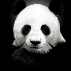 Александр Подольский, 13.09, Москва