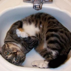 Толик Морозов, 20.08.2000, Нальчик