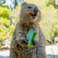 Лена Лебедева(Рогалева), 26.08.1976, Санкт-Петербург