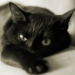 Ольга Скромная, 01.05, Одинцово