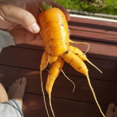 Руслан Бычков, 03.11.1978, Мурманск