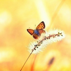 Кристина Болотина, 19.02